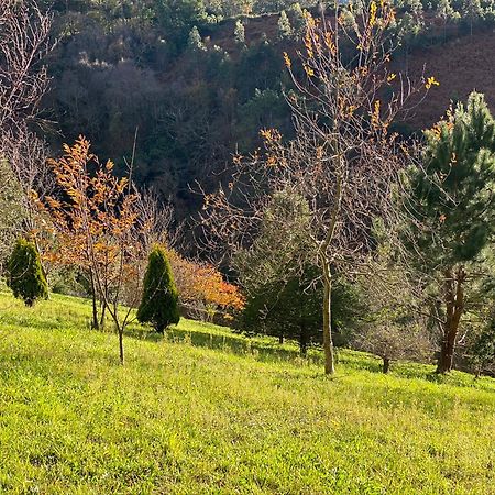 Finca Portizuelo Luarca Exteriér fotografie