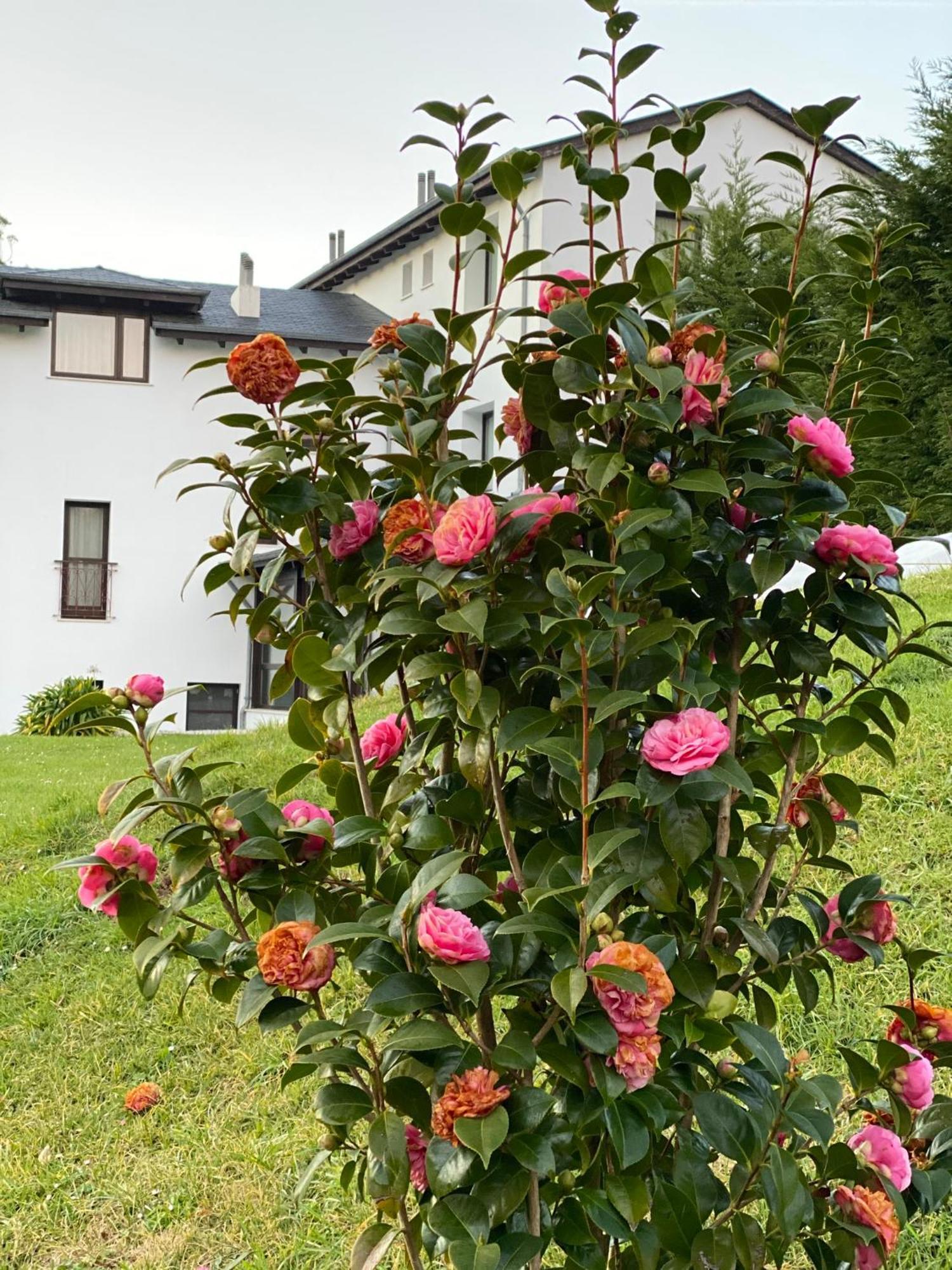 Finca Portizuelo Luarca Exteriér fotografie