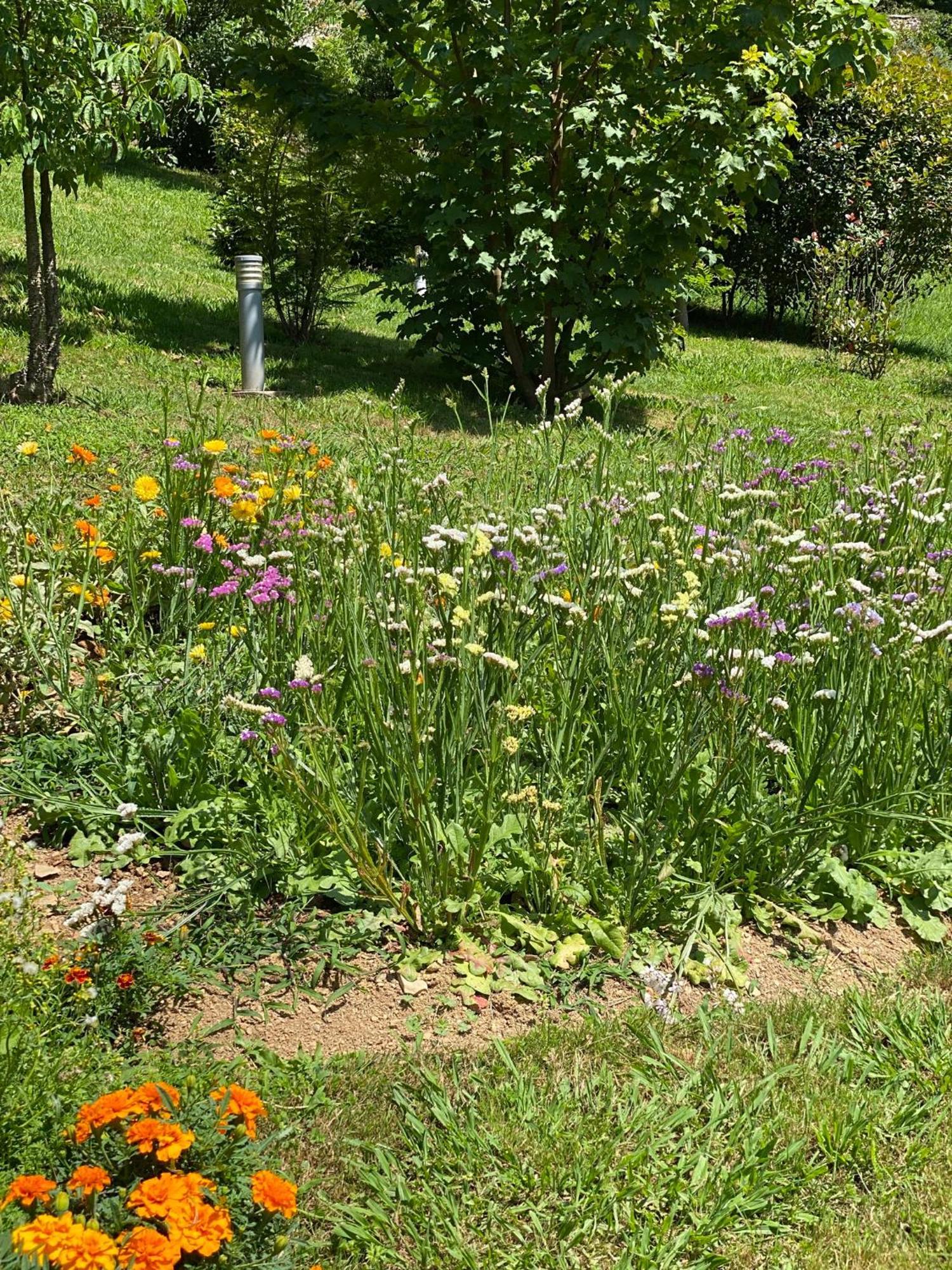 Finca Portizuelo Luarca Exteriér fotografie