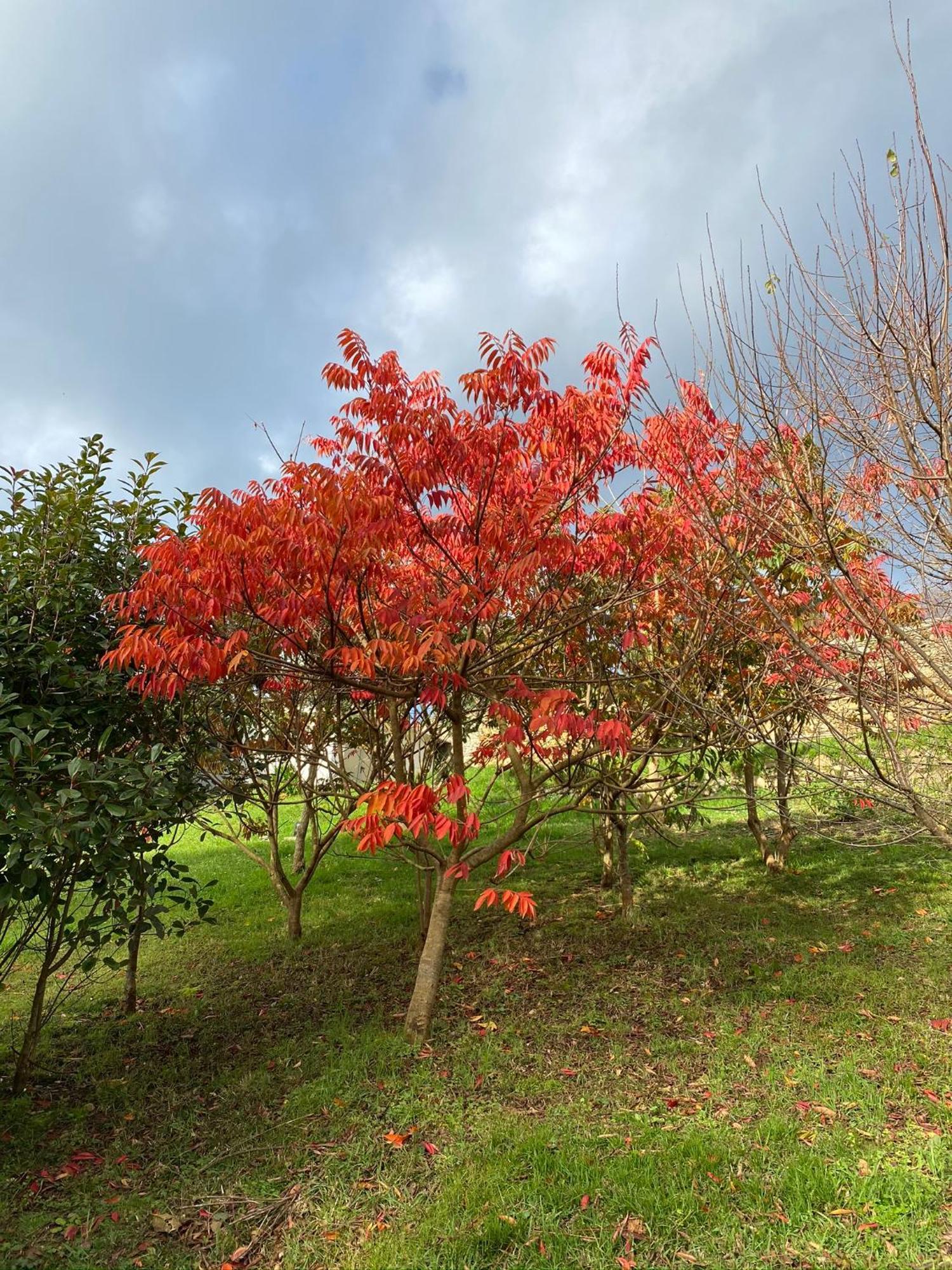 Finca Portizuelo Luarca Exteriér fotografie