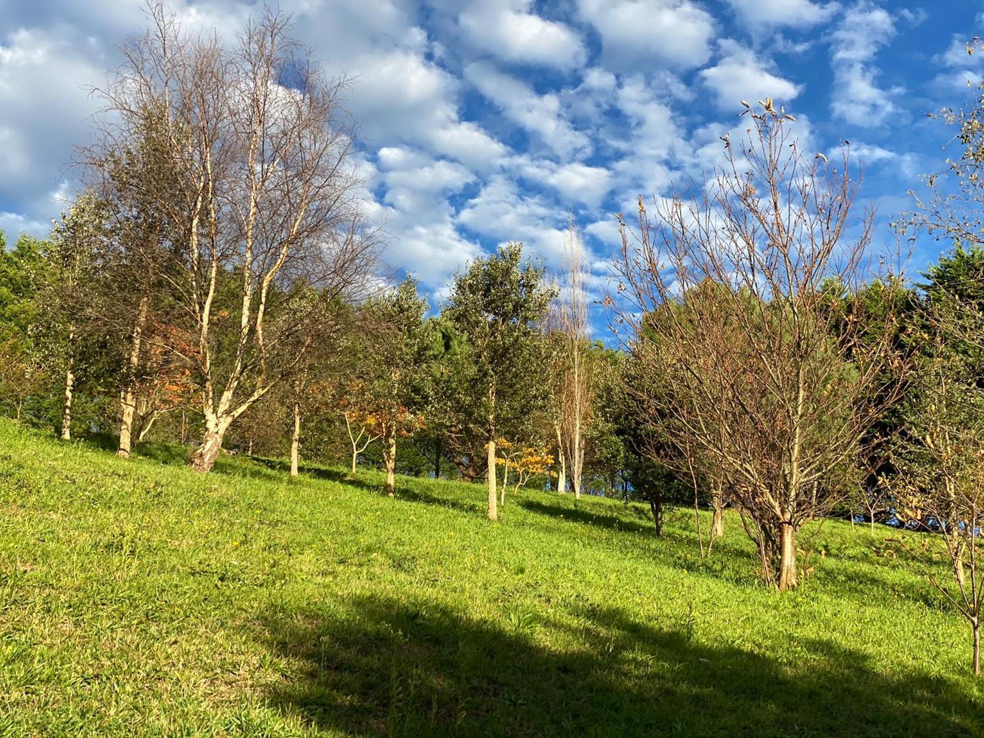 Finca Portizuelo Luarca Exteriér fotografie