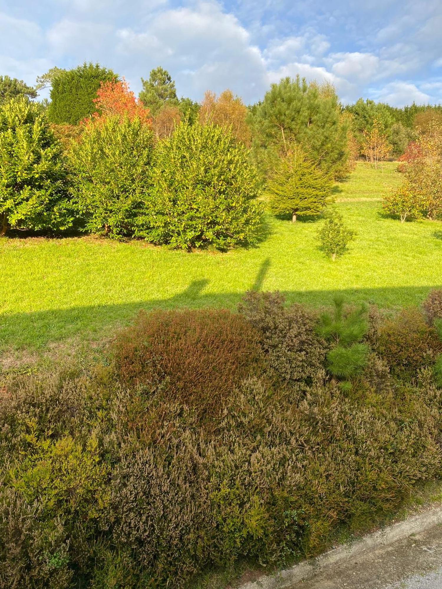 Finca Portizuelo Luarca Exteriér fotografie