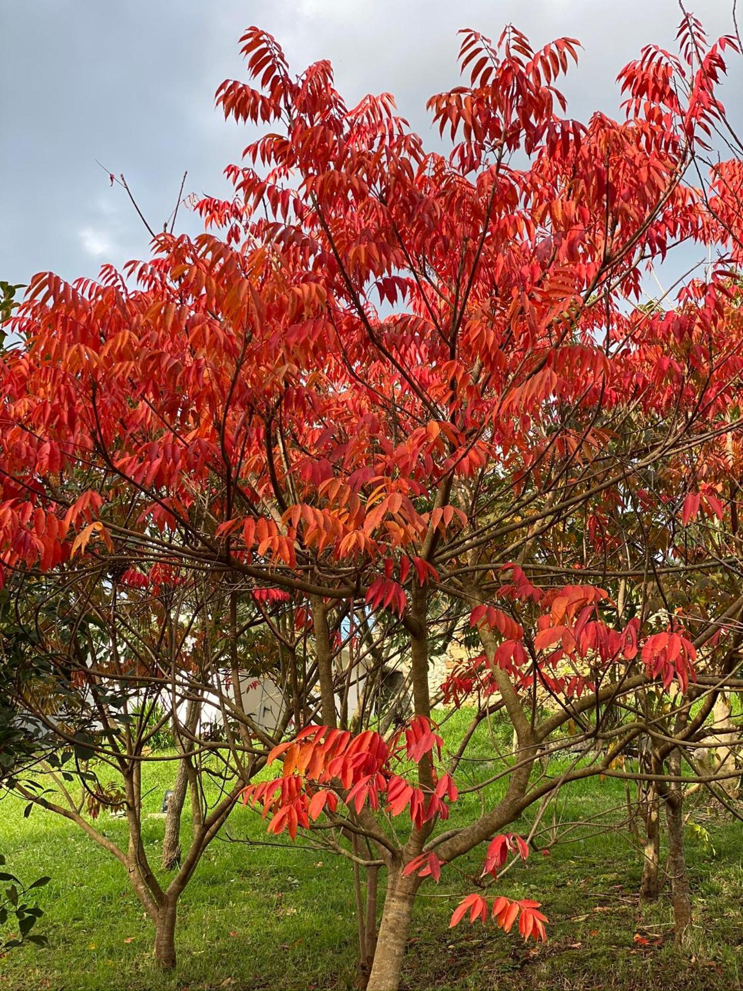 Finca Portizuelo Luarca Exteriér fotografie
