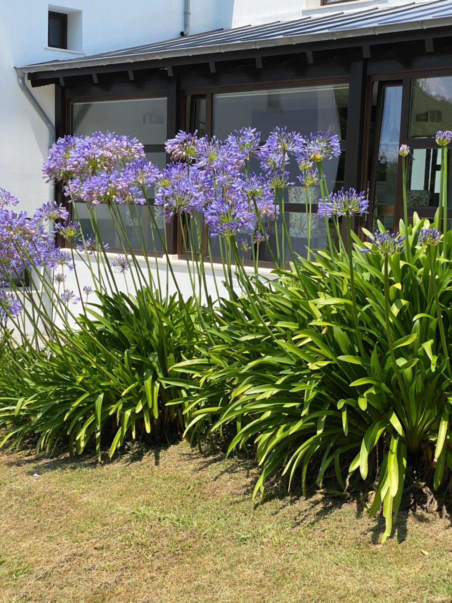 Finca Portizuelo Luarca Exteriér fotografie