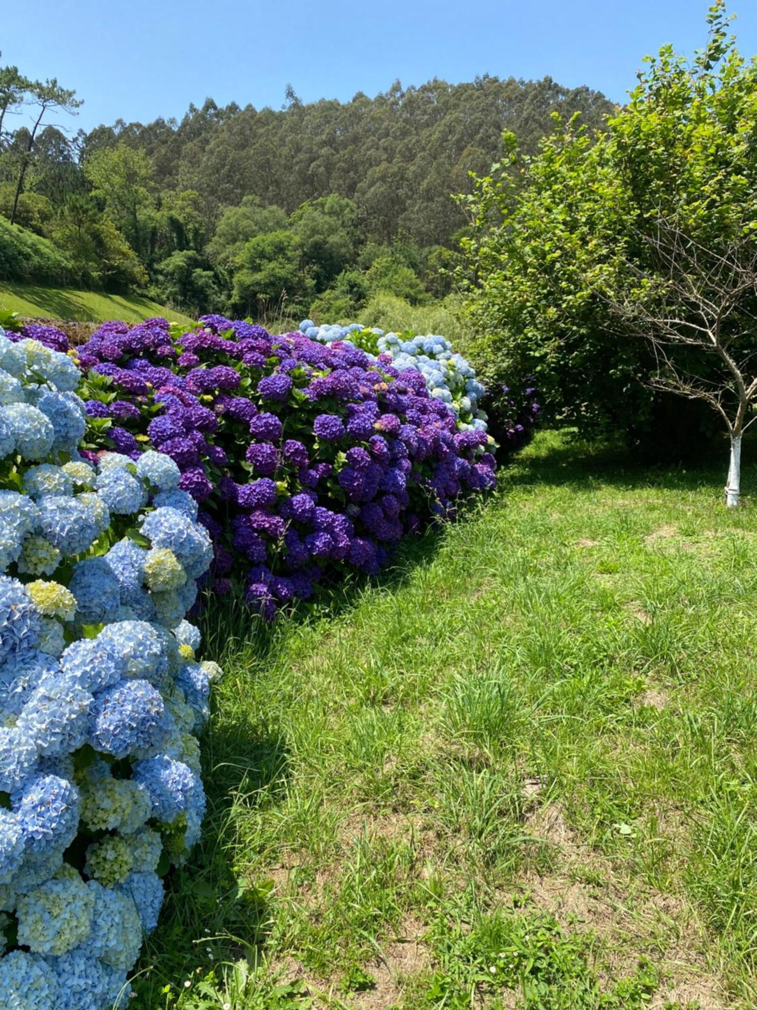 Finca Portizuelo Luarca Exteriér fotografie