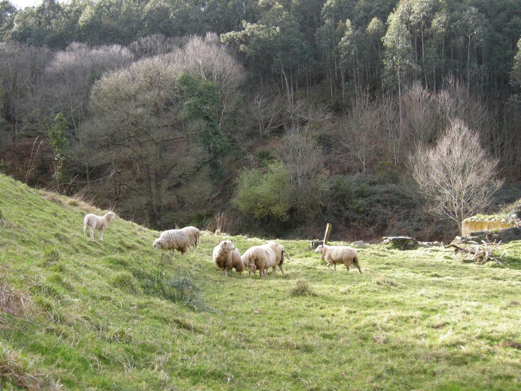 Finca Portizuelo Luarca Exteriér fotografie