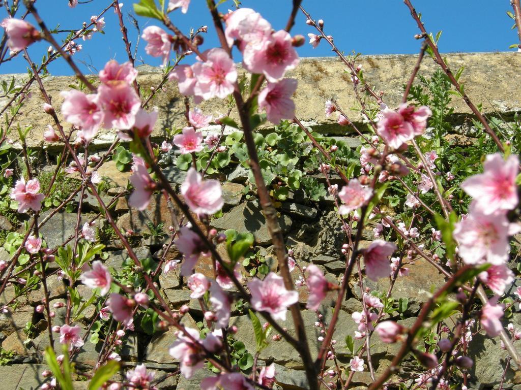 Finca Portizuelo Luarca Exteriér fotografie