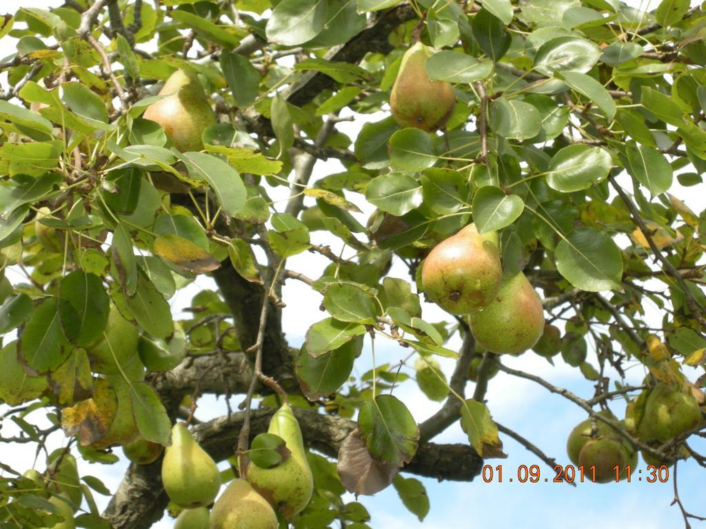 Finca Portizuelo Luarca Exteriér fotografie