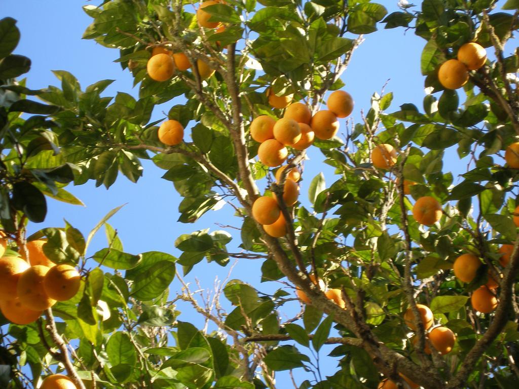 Finca Portizuelo Luarca Exteriér fotografie